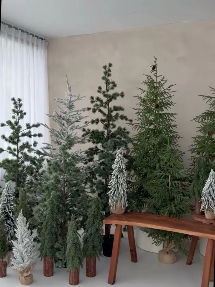 El set de pinos con la banca de madera